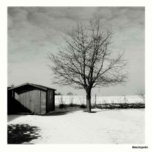 b&w landscape.jpg